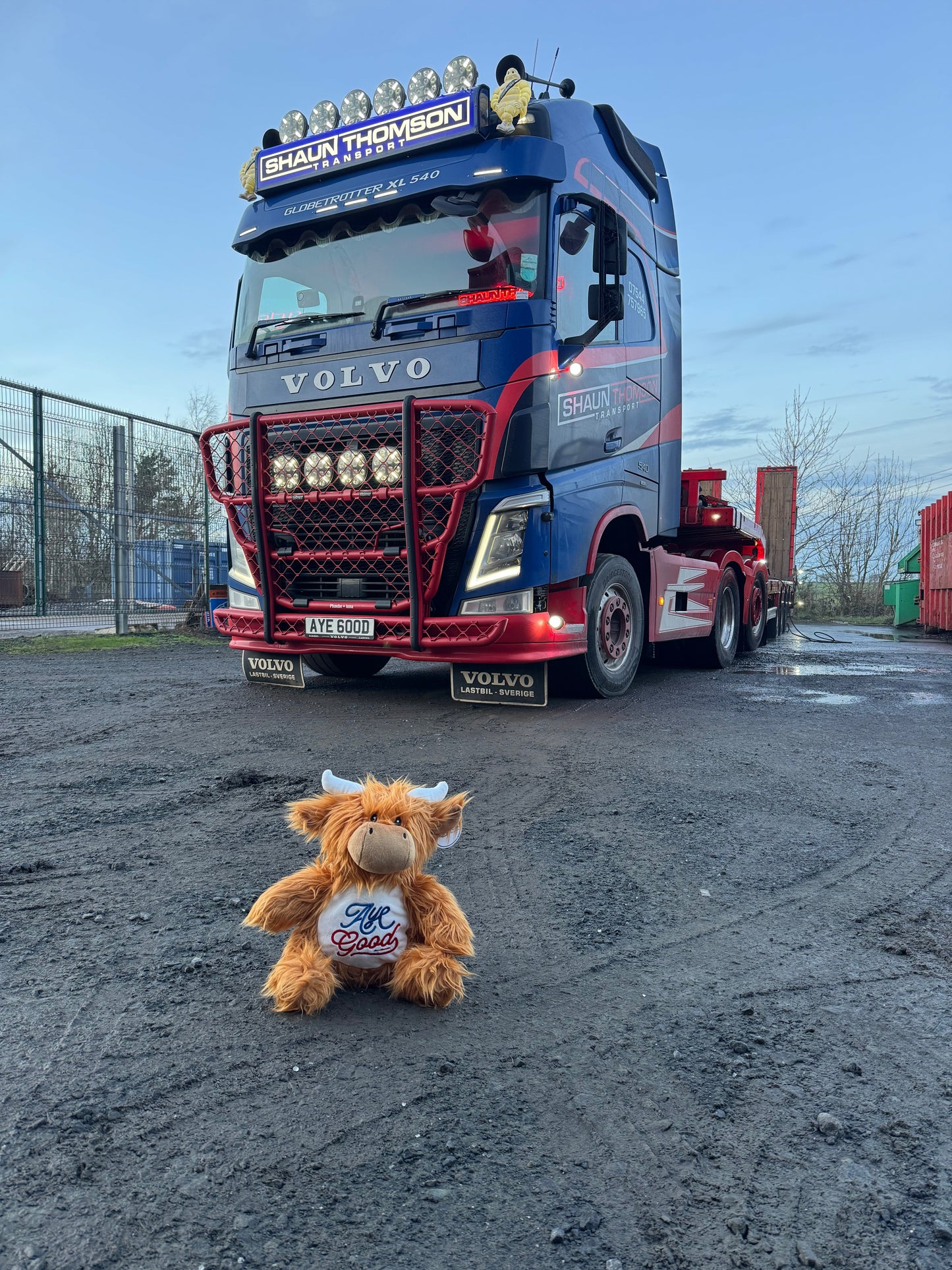 ShaunThomson_ Highland Cow Large Teddy!