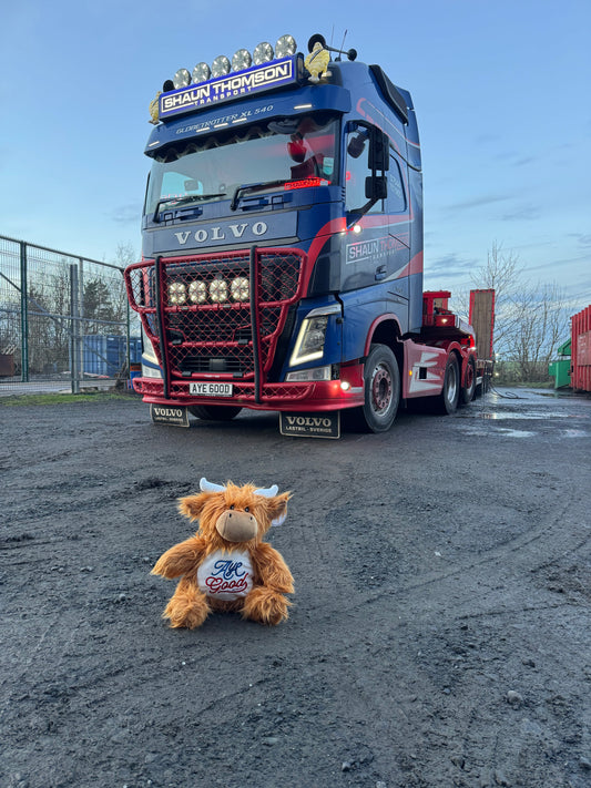 ShaunThomson_ Highland Cow Large Teddy!