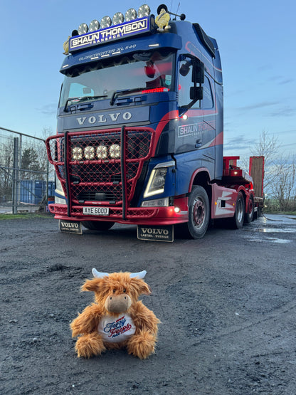 ShaunThomson_ Highland Cow Large Teddy!